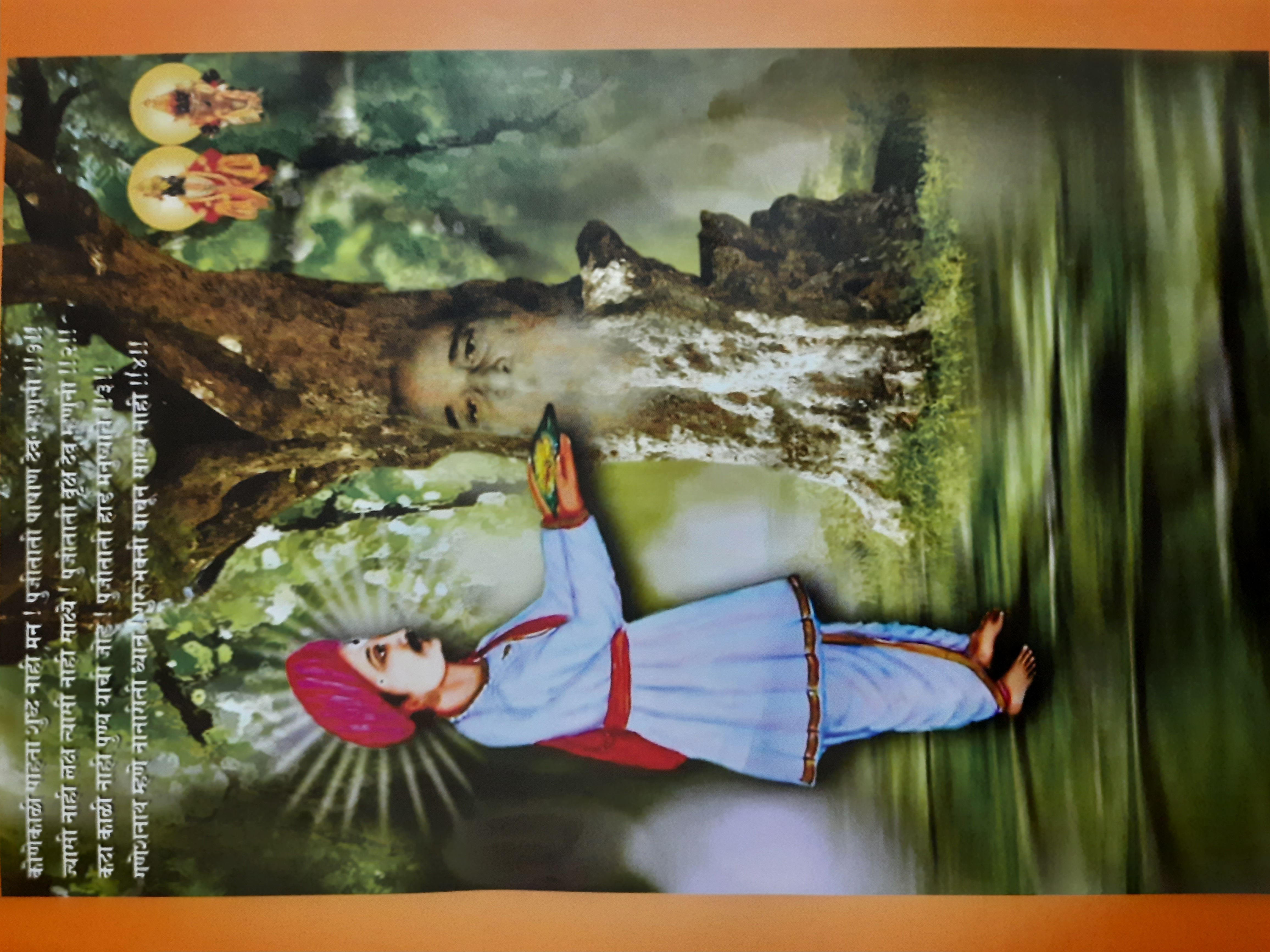 झाड